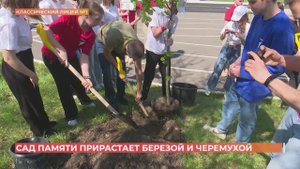 Сад памяти в классическом лицее №1 прирос четырьмя саженцам