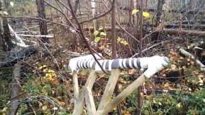 Благодарственное видео для канала "Я - prepper".