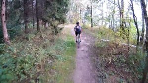 Вдоль берега Учинского водохранилища