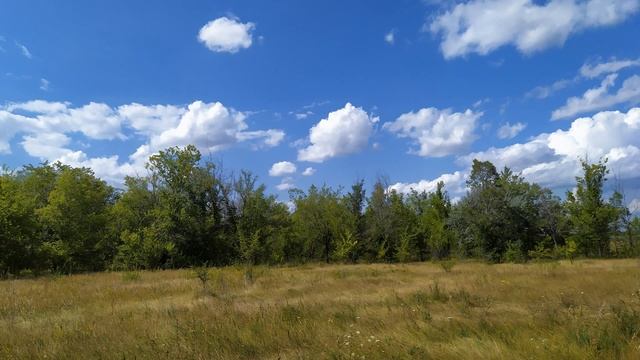 15 августа. СТЕПАНОВ ДЕНЬ.СТЕПАНОВ ВЕНОК. Приметы. Традиции