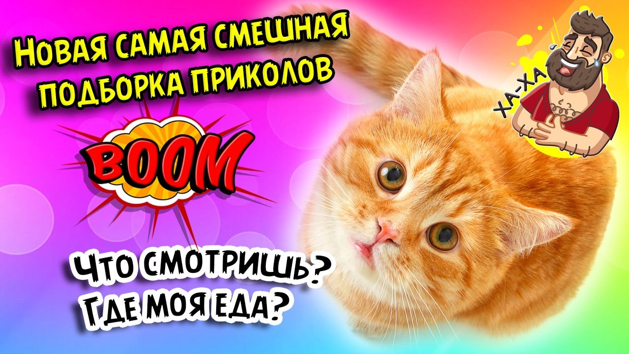 Приколы 2022