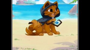 В главных ролях castle cats