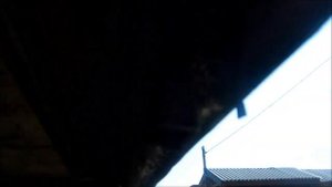 КУПИЛ БУДКУ НА ГАЗЕЛЬ, ОКАЗАЛАСЬ ГНИЛАЯ!!!