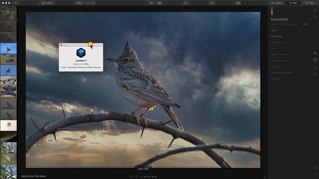 Luminar 4.3.2 (8095) Update Released! смотреть онлайн