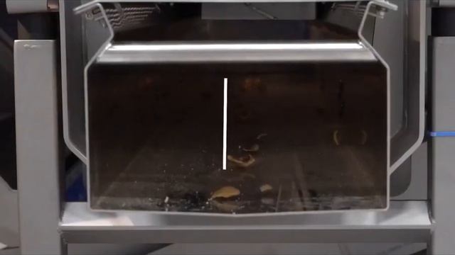 Волоський горіх, сортування ядра TOMRA 5C (сортировка ядер грецкого ореха) смотреть онлайн