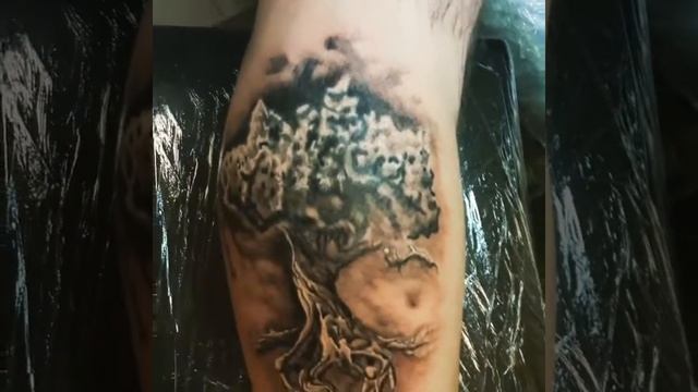 Tattoo Дерево жизни смотреть онлайн