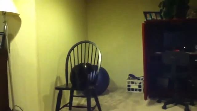 Кот и стул смотреть онлайн