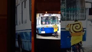 троллейбус приколы
