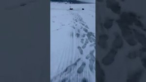 Домик и рыбалка в Подмосковье.