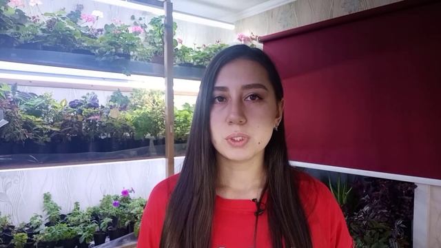 сколько я ВЛОЖИЛА в 3500 РАСТЕНИЙ? Торговля рассадой на рынке. смотреть онлайн