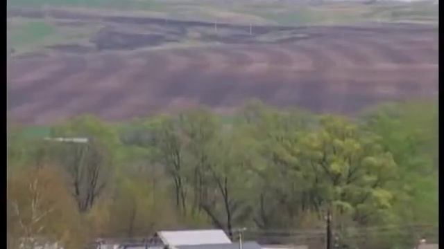 Васильевка