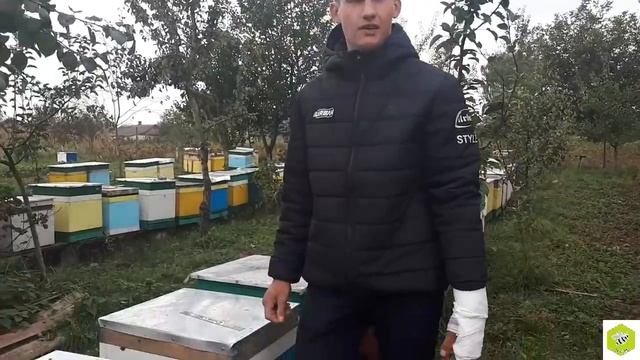 carnica\карника перспективная пчела смотреть онлайн