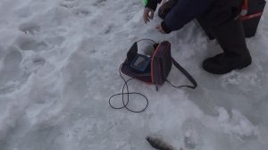 Обзор эхолота Calypso глазами ребенка