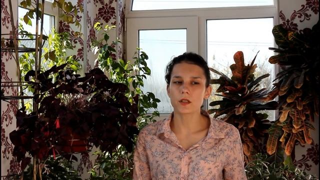 Кислица. Удобрения. Смотреть до конца! Невероятное явление.__Валентина Земскова.