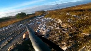 охота на куропатки