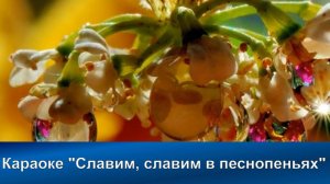 № 4 Славим, славим в песнопеньях | Караоке с голосом | Христианские песни | Гимны надежды