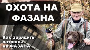 ОХОТА НА ФАЗАНА
