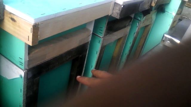 Пчеловодные будни смотреть онлайн