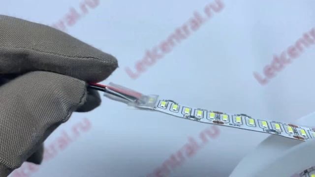 Светодиодная лента SMD 3014, LUX, 240 led/m, 24W, 12V, IP33 Арт.113073 смотреть онлайн