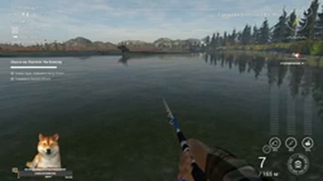 Fishing Planet. Охота на Лосося: На Блесну #3 (Кета 10 кг+, Каник Крик,＃FishingPlanet) смотреть онлайн
