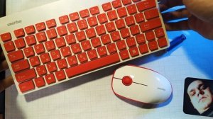 ? Бадум-тсс! Экспресс обзор. Беспроводной комплект клавиатура и мышь Smartbuy SBC-220349AG-RW