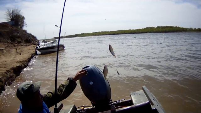 Вобла смотреть онлайн