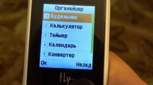 FLY DS103D обзор на телефон