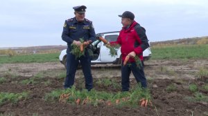 В колонии-поселении № 17 Мамадышского района заняты уборкой овощей