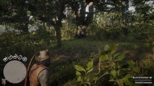 Red Dead Redemption 2 - Localización, cazando y despellejando la Pantera Legendaria Giaguaro