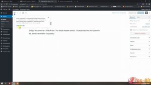 ? ДЕТАЛЬНЫЙ ВИДЕО ОБЗОР КОНСОЛИ WORDPRESS 5.1.1. ? УРОКИ ДЛЯ НОВИЧКОВ. TOP-BIT.BIZ