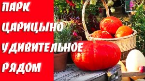 Выставка ландшафтного дизайна в парке Царицыно в Москве.