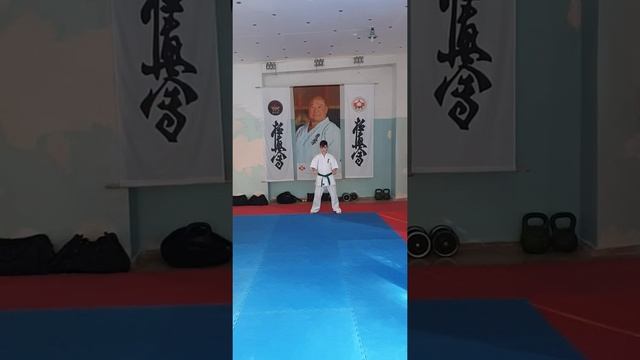 Відео фрагмент заняття гуртка карате. Керівник Панчуков О.Г. смотреть онлайн