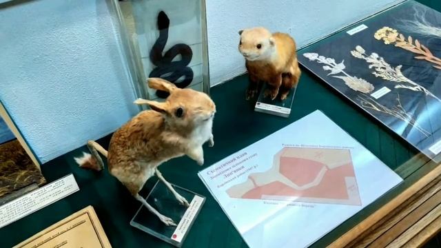 Полтава. Полтавский краеведческий музей. Poltava Regional Museum. Белая беседка (Белая Альтанка).