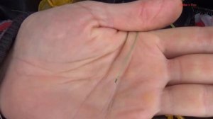 Free Rig или Бесплатная оснастка на Окуня! Зимний спиннинг! Рыбалка в декабре! #1