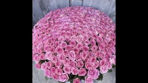 Заказ цветов с доставкой