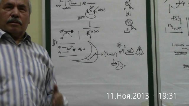 Нормы и системное бытие Изменение формы под морфологию Необходимость обучения Управление 2013 смотреть онлайн
