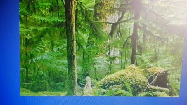 Беседа «Родная Родина моя» смотреть онлайн