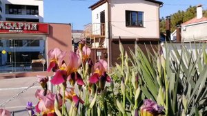 ГЕЛЕНДЖИК... пешком по городу... по улице Советская... апрель 2018