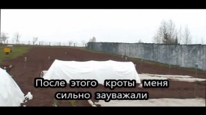 Супер отпугиватель землероек и кротов своими руками