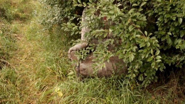 странное видео смотреть онлайн