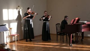 Вивальди. Концерт для 2 скрипок ля минор, 1 часть.