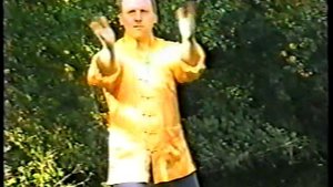 Чоу Гар Южный богомол 18 плавающих драконов. Ч 2