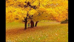 Унылая пора