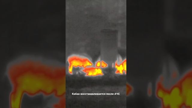 снято на тепловизор смотреть онлайн