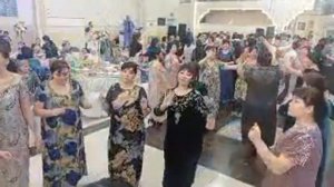 Новосибирск Туй