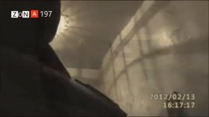 ИК-21 ИК-29 строгого режима Архангельская область ?о??197