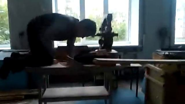 Как надо пилить деревья