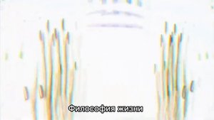 стих про врачей