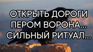 ОТКРЫТЬ ДОРОГИ ПЕРОМ ВОРОНА...СИЛЬНЫЙ РИТУАЛ...ДЛЯ ВСЕХ...