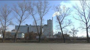 Маслоэкстракционный завод (новости, 19.04.23г., Бийское телевидение)